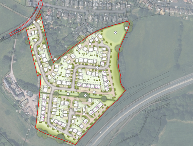 Hazel grove plans